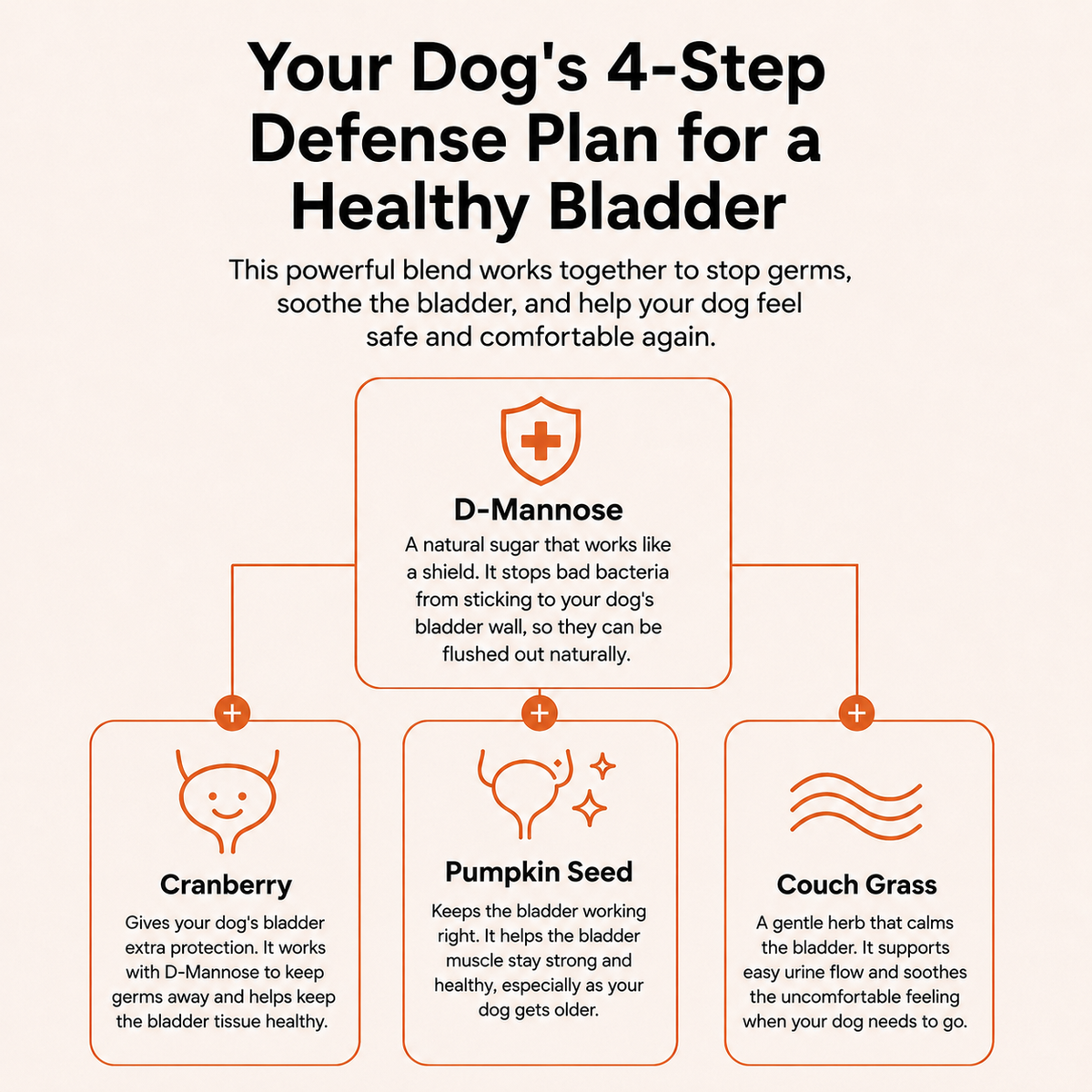 Pet Urinary drops