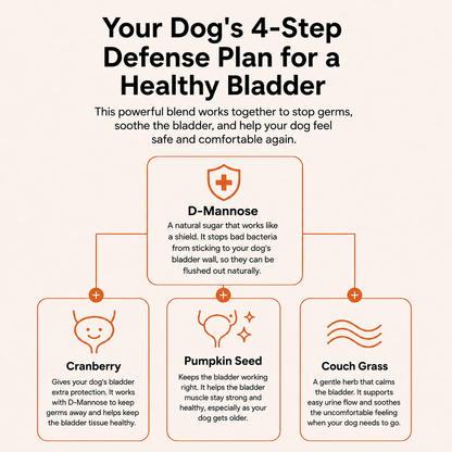 Pet Urinary drops